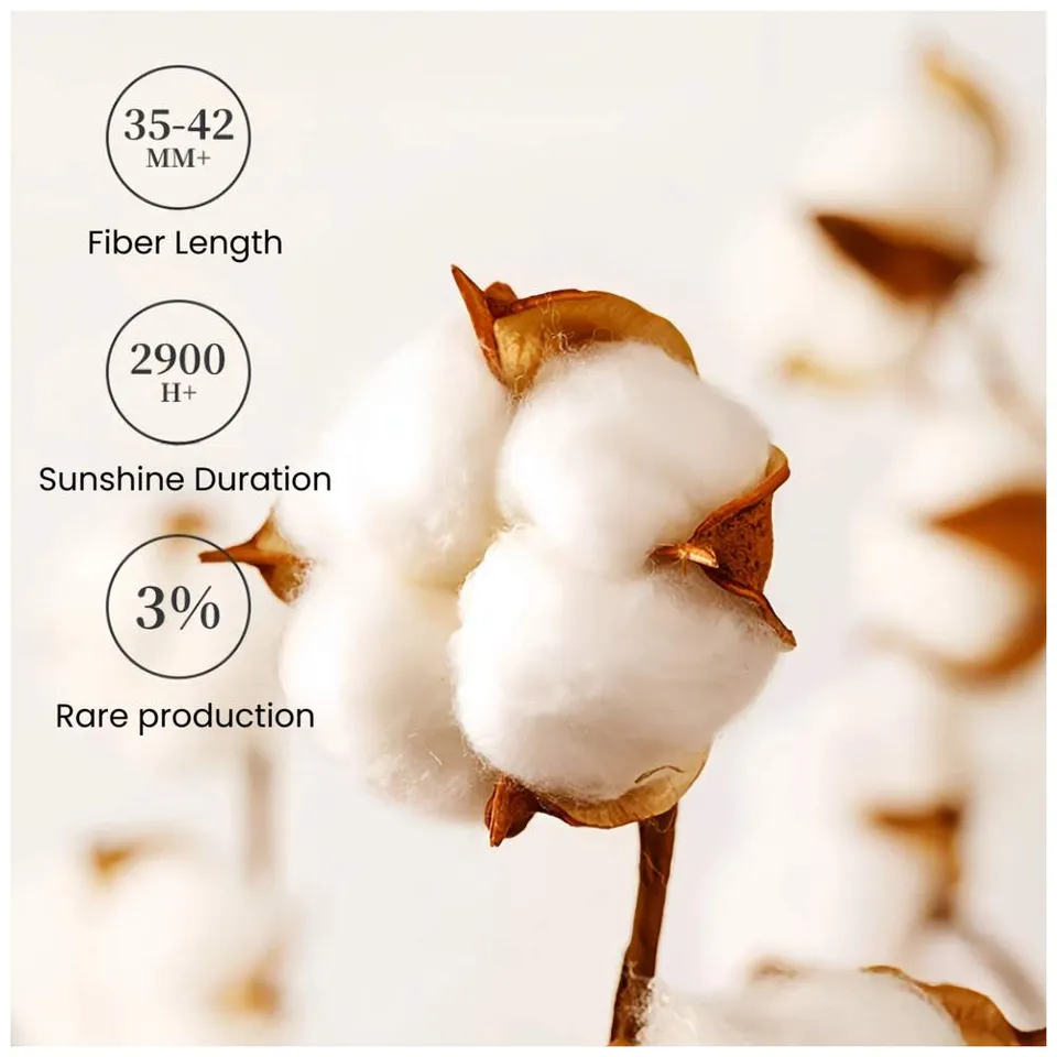 Sunnozy 3Pcs Joggers set