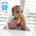 Dr Browns Learning Loop Silicone Teether 