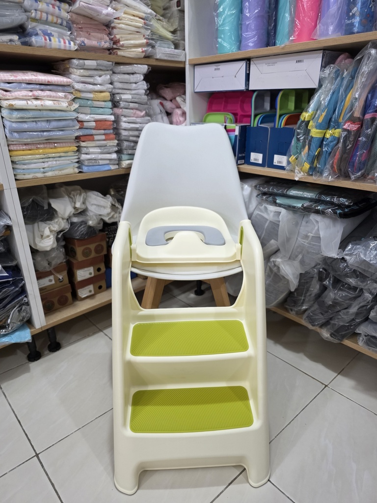 Potty Seat