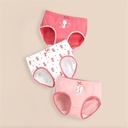Girls 3pcs Set Panties 