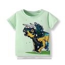 Malwee Tshirts
