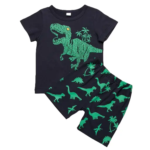KIDS DINOSAUR 2PCS SET