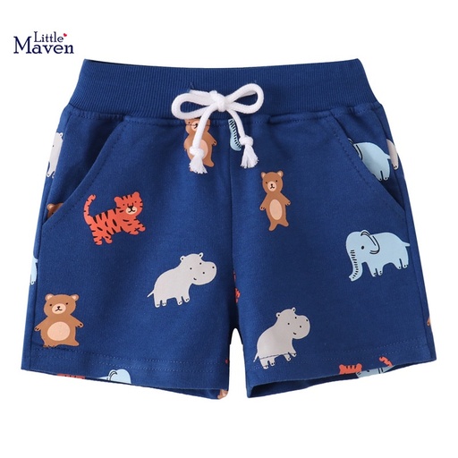 Little Maven Boys Shorts