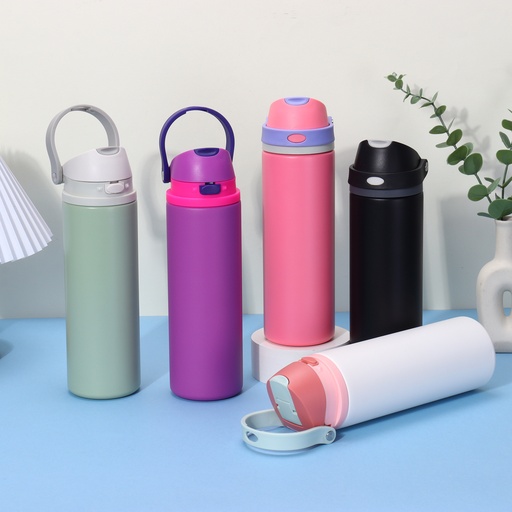 Owala Stainless Steel Bottle 