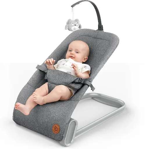 Baby Bouncer Gray