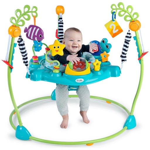 Baby Einstein Jumperoo