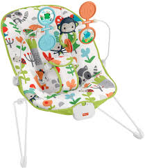 Fisher Price Baby Bouncer
