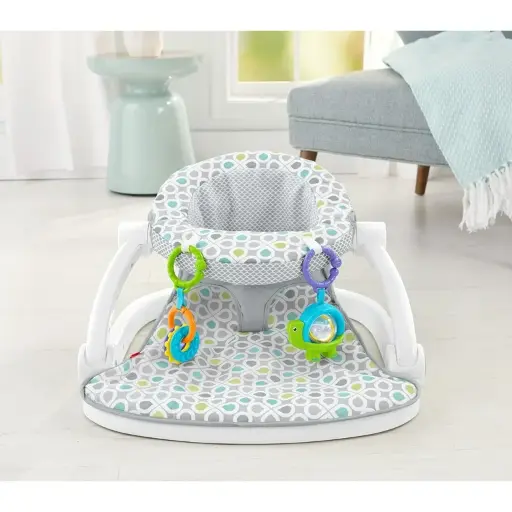 Fisher Price Comfy Support Sit Up Seat